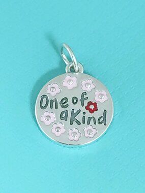 James Avery Enamel One of a Kind Charm Sterling Silver Pendant with box